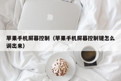 苹果手机屏幕控制（苹果手机屏幕控制键怎么调出来）