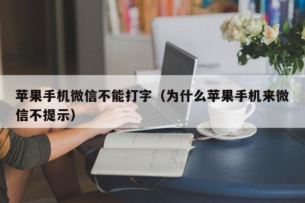 苹果手机微信不能打字(为什么苹果手机来微信不提示)